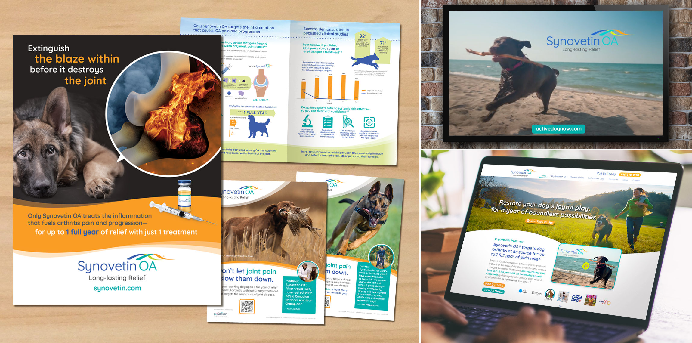 Synovetin OA animal health marketing campaign and veterinary brand creative