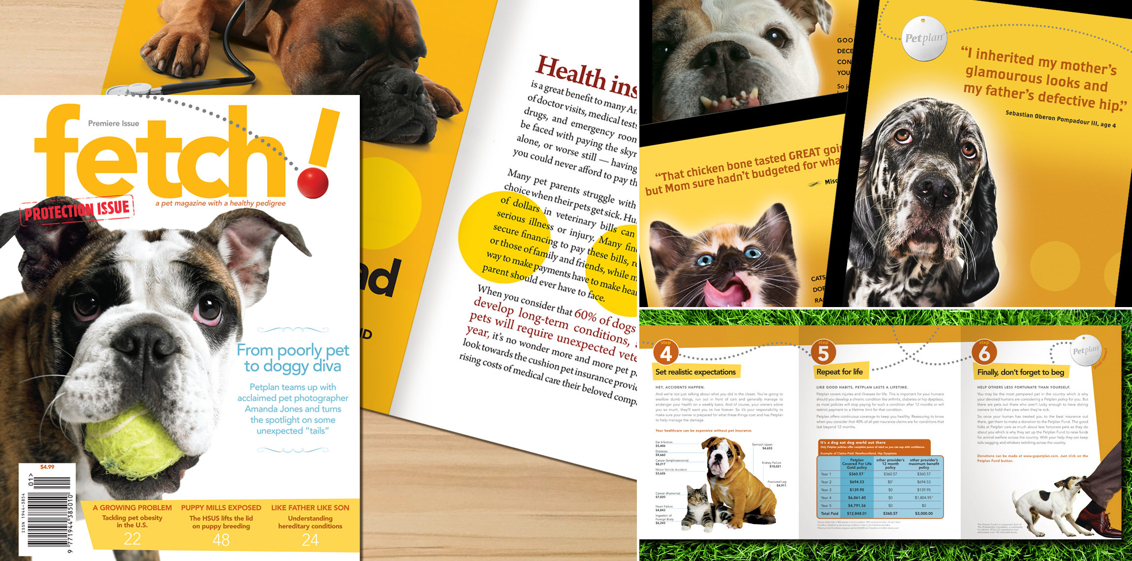 Petplan pet insurance brand marketing campaign and magazine content by Open Haus Studio